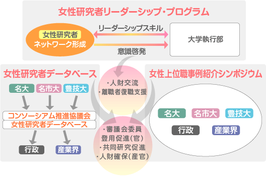 上位職登用の取り組み概要図