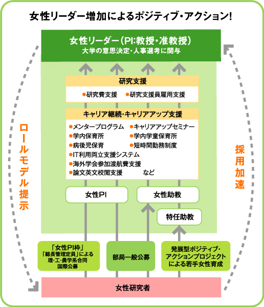 女性研究者を育成する3つの支援_図