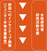 女性研究者研究活動支援　部局へのインセンティブ施策（ジェンダー平等支援基金）