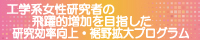 工学系女性研究者の飛躍的増加を目指した研究効率向上・裾野拡大プログラム